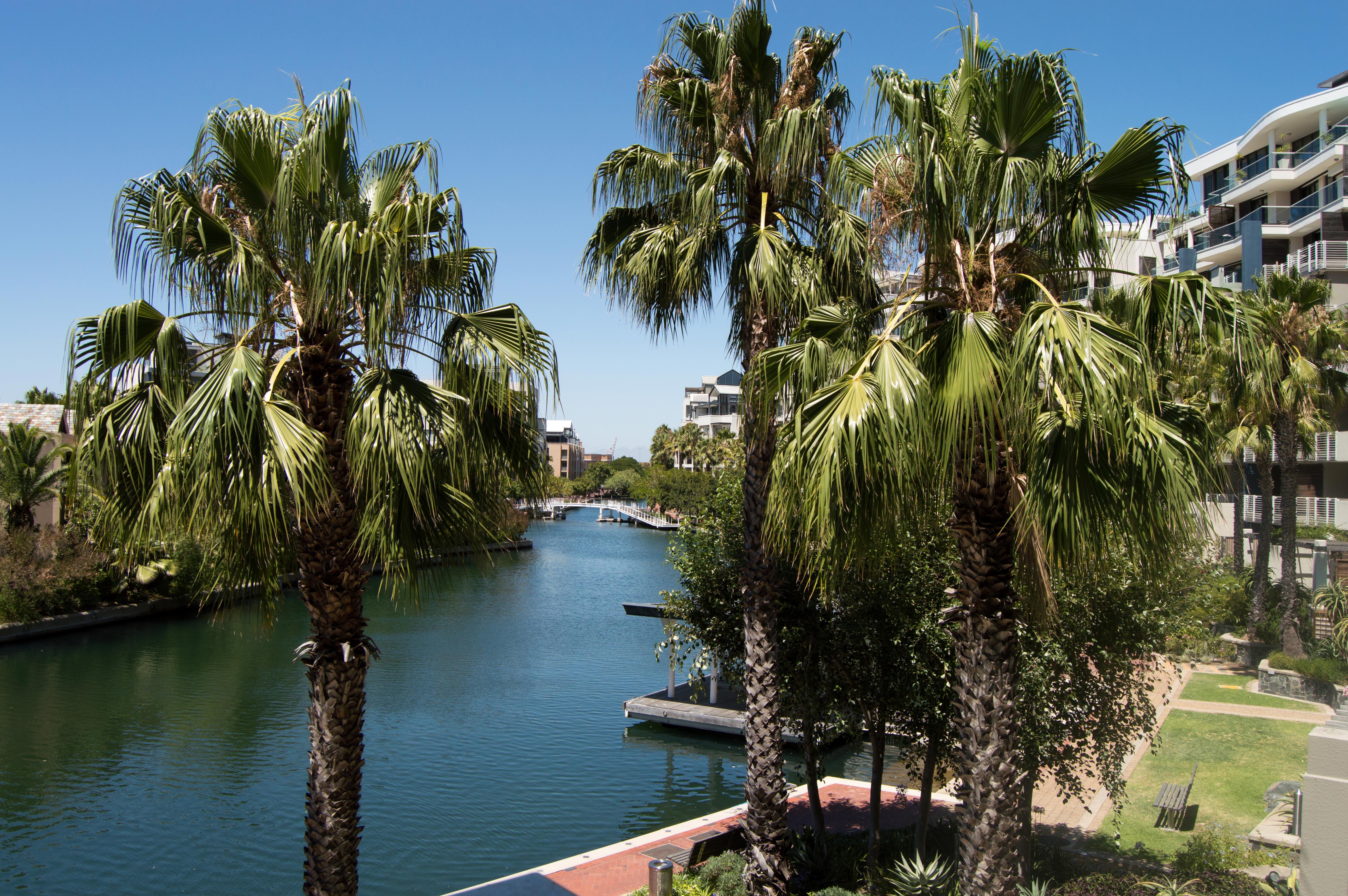 Waterfront Village Cape Town Dış mekan fotoğraf